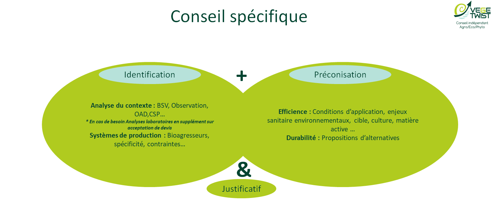 Schéma CSP spécifique