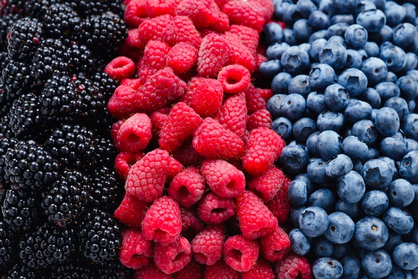 Fruits de mûres framboises et myrtilles