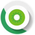 Pack Kiwi
